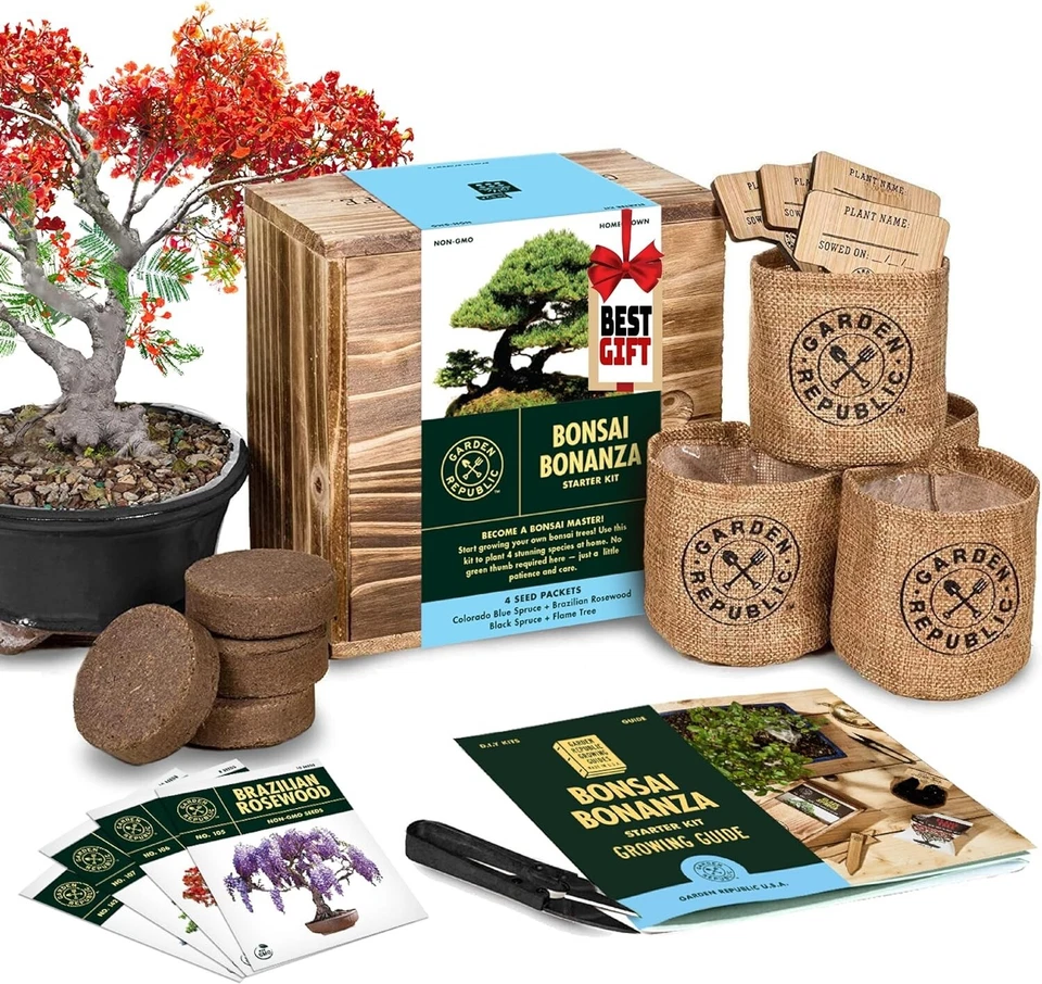 Complete Mini Bonsai Plant Growing Kit with Heirloom Seeds & Eco-Friendly Tools - Image 3 of 4