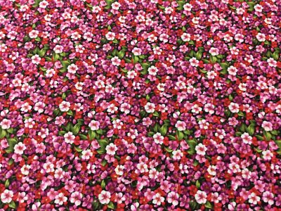 Fabri-Steppdecke-112-2569-Asian Garden-Floral-100% Baumwolle