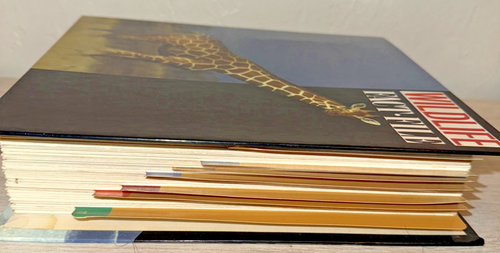 Wildlife Fact File - Picture 5 of 16