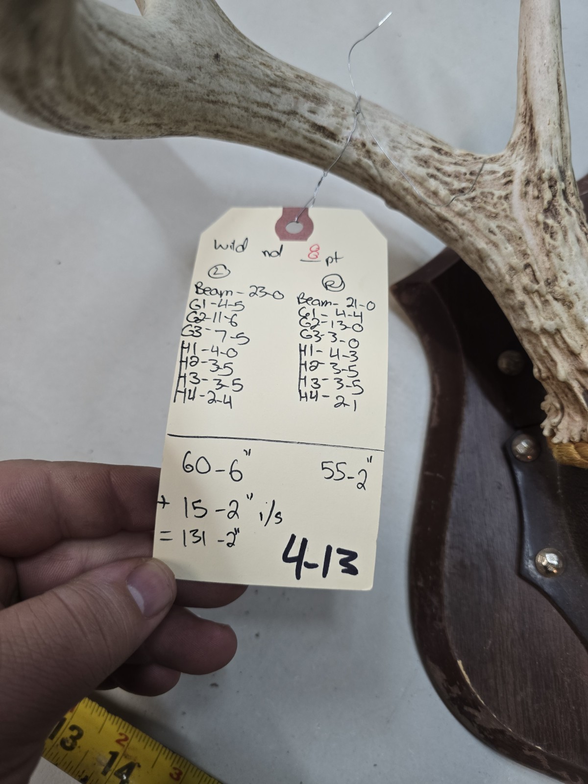 Wild 8 Point 131-2" Whitetail Deer Antler Rack Horn Skull Plate Decor Man Cave