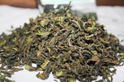 Darjeeling Tea First Flush 2026 GIDDAPAHAR SFTGFOP I CH. SPECIAL 500 Gms