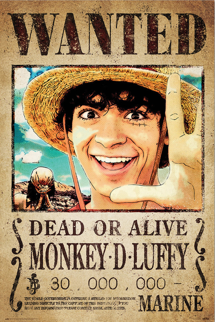 One Piece - TV Show Poster (Wanted: Monkey D. Luffy - Dead Or