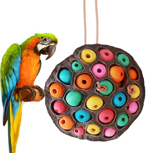 Natural Parrot Chew Toys Lotus Pod-shaped Parrot Biting Toys Parakeet Chew Toys - Picture 8 of 10