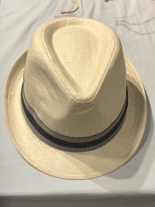 stetson fedora ebay