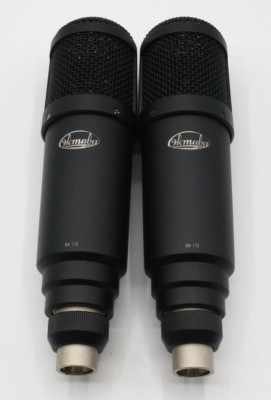 AEG/Oktava MK-119 PAIR w/ tube modification  exclusive from Microphone Boutique