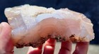 rawk11: 0.8LB Paulina Pink Petrified Limb Cast Rough-Pink Chalcedony-Oregon! — photo 5