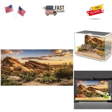 Reptile Habitat Background Blue Sky Oasis Cactus Sun and Desert Terrarium Bac...