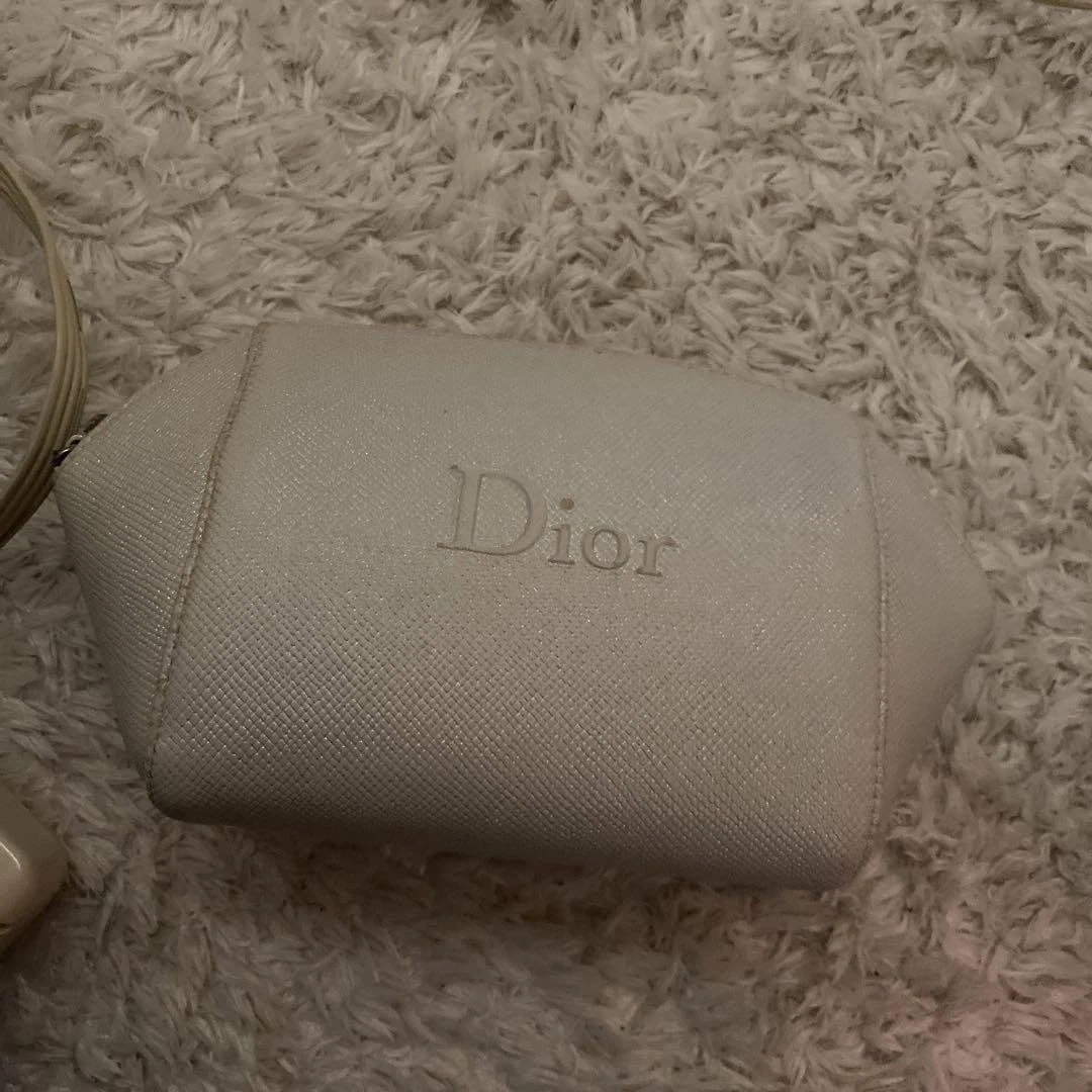Pochette Dior9