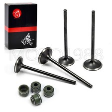 Cylinder Head Intake & Exhaust Valve Kit for Honda TRX400EX TRX400X XR400R 2x4