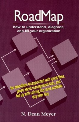 RoadMap : How to Understand, Diagnose and Transform Organizations