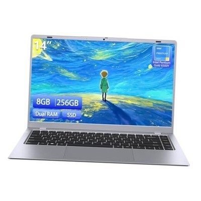 2025 Silver Laptop, Pentium Gold 6500Y Processor(Up to 3.4GHz),8GB