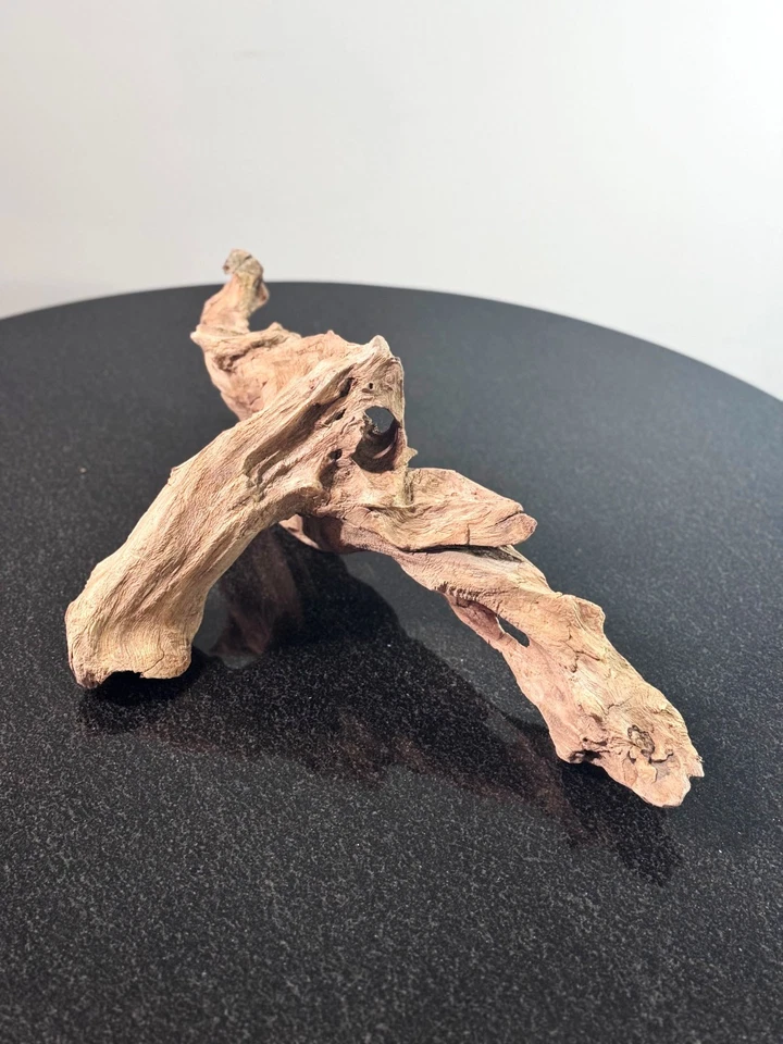 21-дюймовая натуральная коряга — скульптурная изогнутая деревянная деталь — декор аквариума, террариума - Изображение 2 из 4