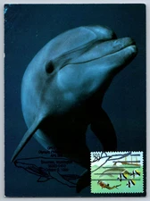 #2864 Wonders of the Sea Scuba Diver and Dolphin Maxi Card