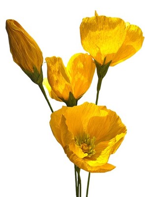 Crepe Poppy Flower DIY Making Kit 24 pcs (Yellow)