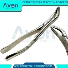 DENTAL EXTRACTING FORCEPS #151 DENTAL SURGICAL INSTRUMENTS-GERMAN Grade