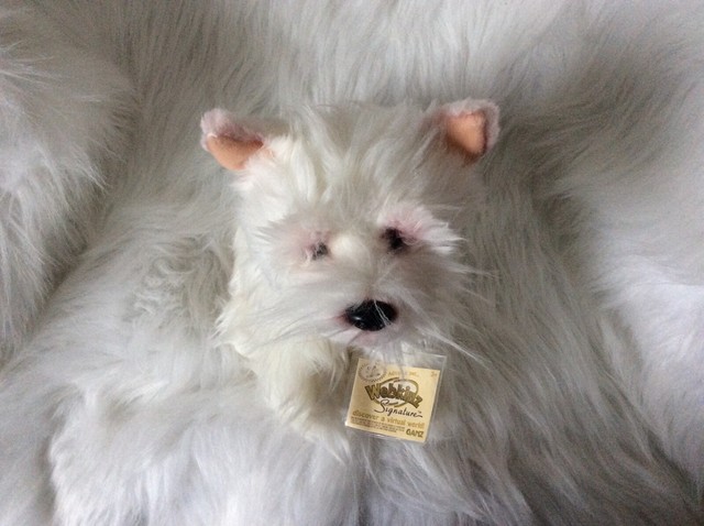 WEBKINZ SIGNATURE WEST HIGHLAND TERRIER +2 PACKS WEBKINZ CARD-NEW W/ SEALED CODE | eBay
