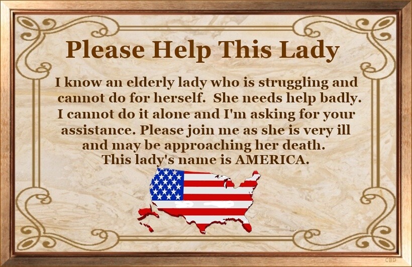 (Lady Needs Help) Plaque,America,Patriotic,Sign