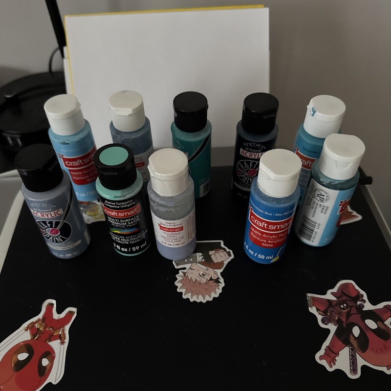 Acrylic Paint Used