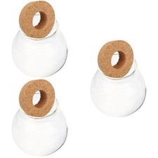 3 Pack Plant Vase Hydroponic Plants Propagation Containers Cute Planter