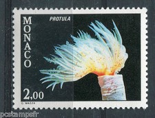 Monaco 1980, Stamp 1263, Fish, Protula, Fauna, Sea, New