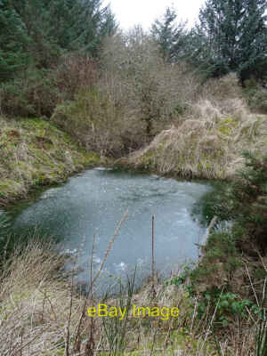 Foto 12x8 gefrorene Teichkrümmer Dieser Teich wird rechts von einer Bank versteckt c2021