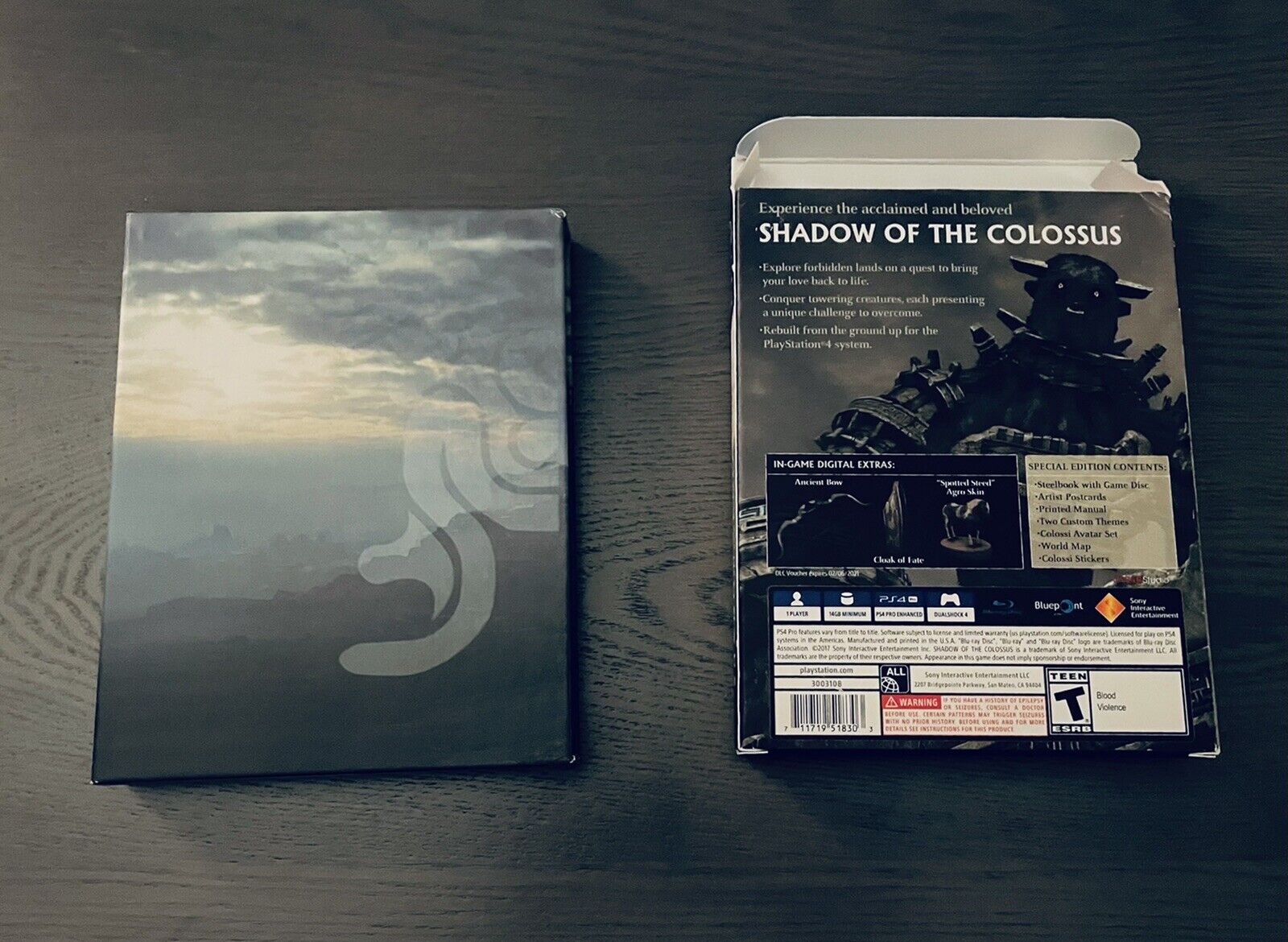 Shadow of the Colossus - Replacement PS4 Cover and Case. NO GAME!!