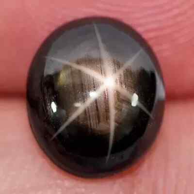 Certified Black Star Sapphire 6 Rays 10.00 Ct Oval Cabochon Natural Gemstone