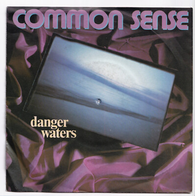 (nR94) Common Sense, Danger Waters - 1990 - 7'' vinyl