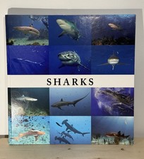 Sharks By Sandra Forty, Hardcover Book 2013 T...