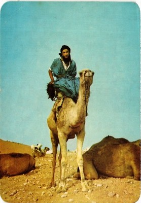 CPM MAROC Tan-Tan, Ce n'est pas son esclave (880849)