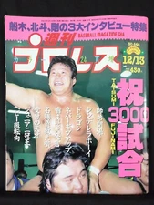 Pro Wrestling Japan Weekly Magazine Japanese Text #646 December 1994 12/13