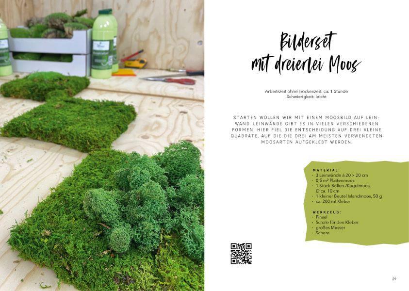 Thumbnail - Moosbilder Gestalten Sven Job
