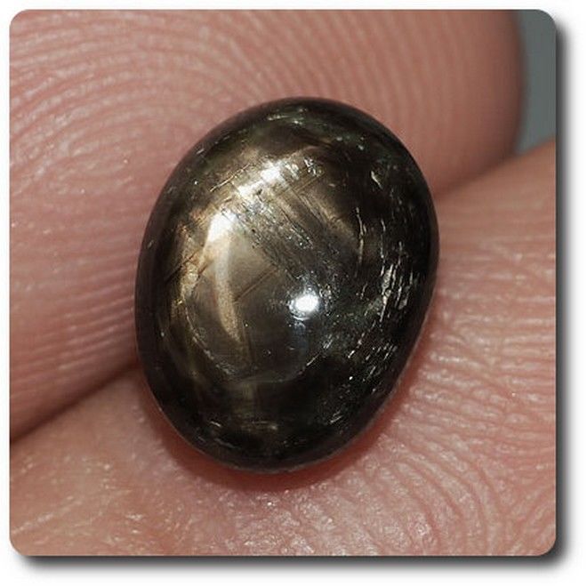 Saphir étoilé noir thaïlandais de 3.39 cts pour création de bijou unique