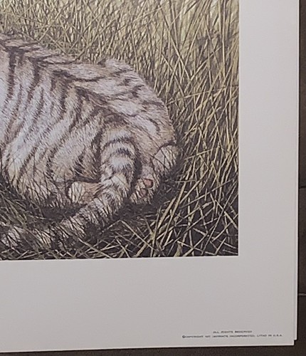 Imogene Farnsworth BENGAL CUBS (Cincy Zoo) S/# Lithograph 3000 Edition 1977 - Picture 6 of 7
