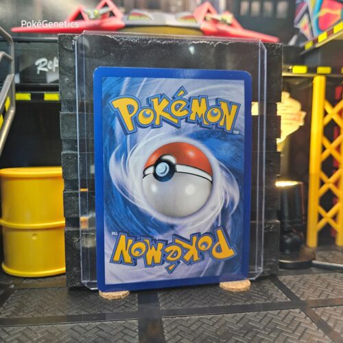 Combee Platinum Reverse Holo Pokémon TCG 71/127 comune - Foto 4 di 6