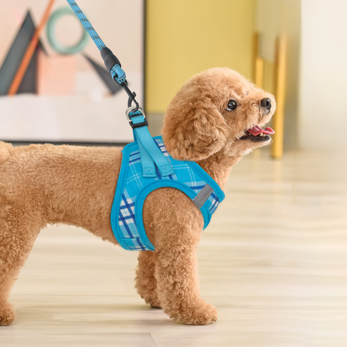 Dog Harness&Leash Set Breathable Mesh Adjustable Reflective Vest Blue w/D-rings - Picture 5 of 11