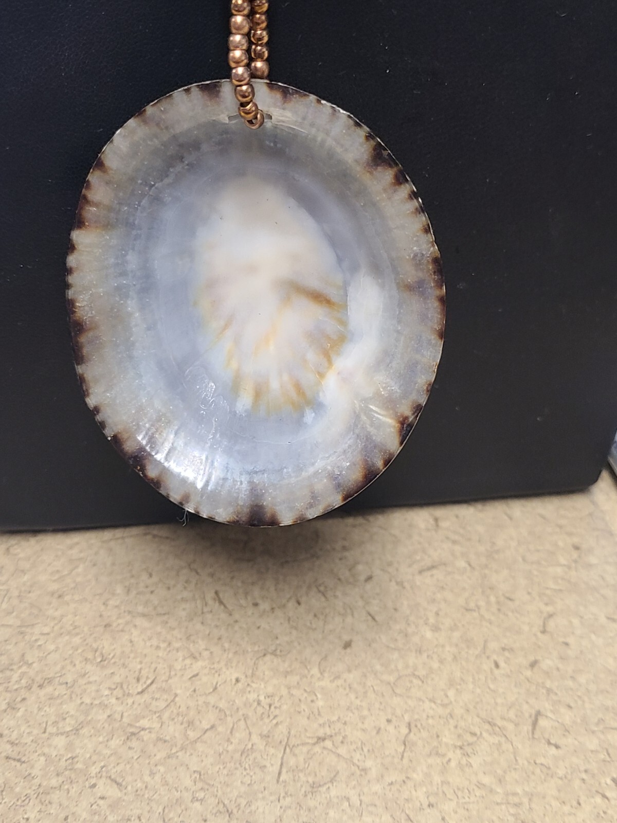 Huge Shell Statement Necklace - image 3