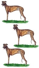 Decal Vinyl Sticker Greyhound - Minis Set of 3 Printed Vinyl Decals Made in USA