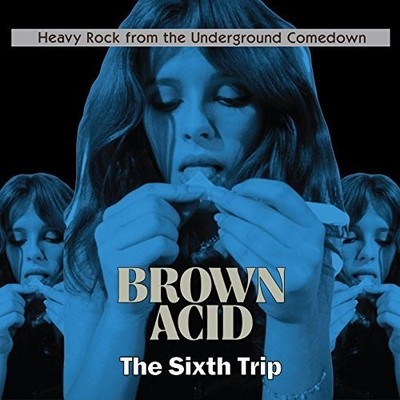 Various Artists - Brown Acid - The Sixth Trip (Various Artists) [New CD]