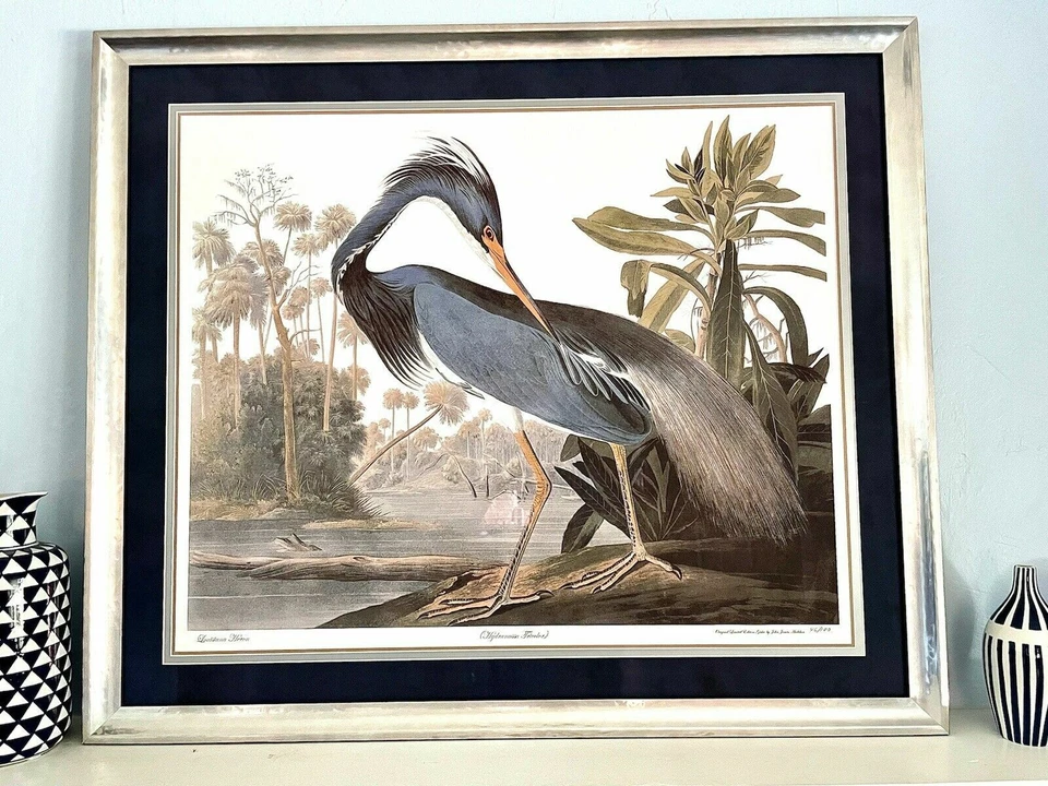 Impresión artística Audubon Louisiana Heron 30x44 edición numerada a mano Foto 3 de 3