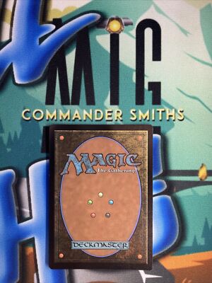 😻🐶 PLAINS ✨ Borderless FOIL ✨ Secret Lair MTG NM 1513 Raining