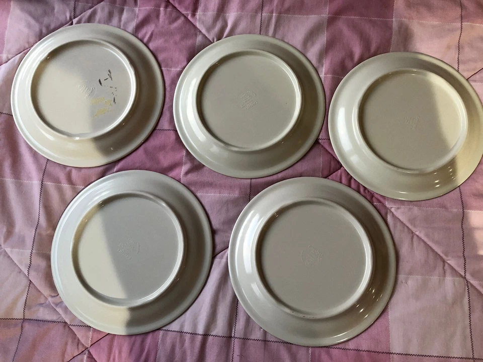 5 platos de cena de melamina Carlisle Durus 9", blanco y gris N43005 Foto 4 de 4