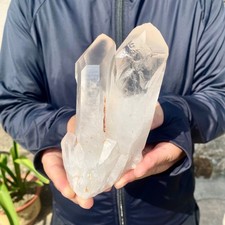 1.46LB A+++ Large Himalayan