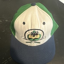 VTG 90s Looney Tunes Taz Golf Adjustable Snapback Hat Cap Youth Green Blue