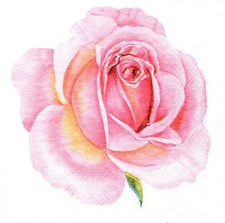  2 Two Paper Lunch Napkins for Decoupage/Mixed Media - Pink Rose single flower