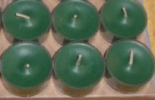 Partylite 2 boxes EVERGREEN FIR Tealights low ship 