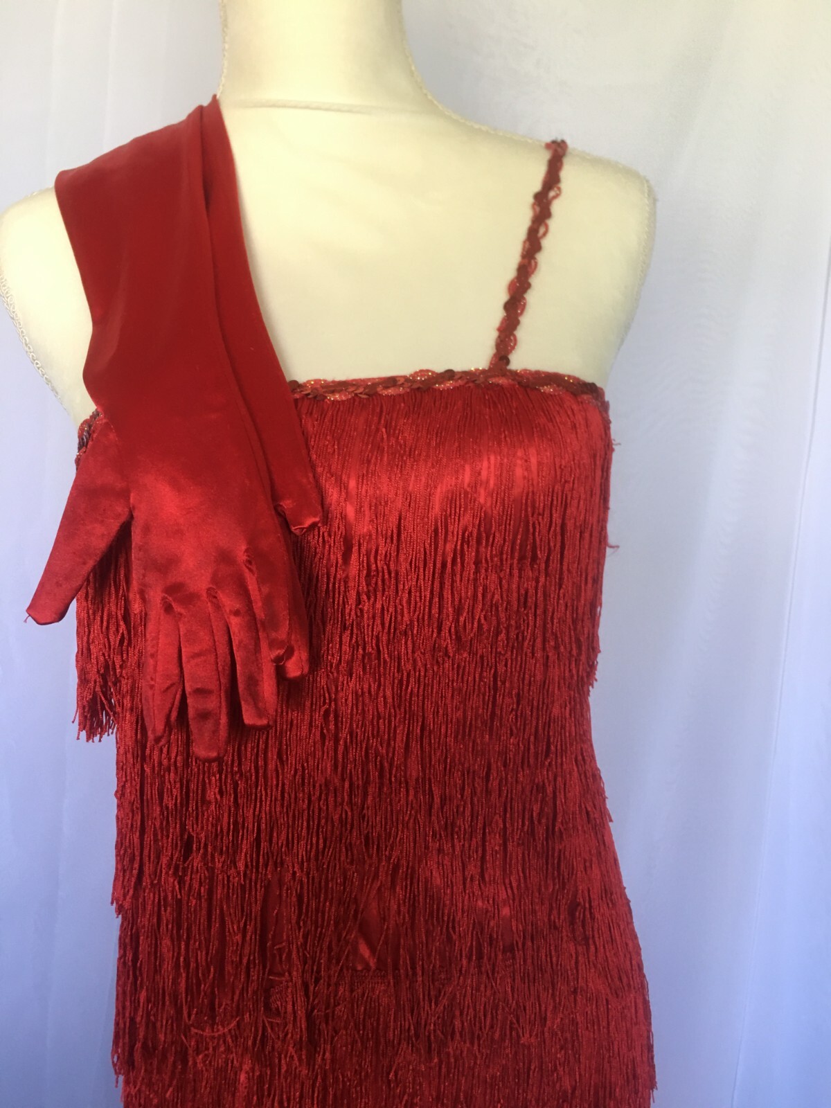 Fun, Jazzy 1920s Flapper Fringe Dress W/Gloves Cosplay/Halloween
