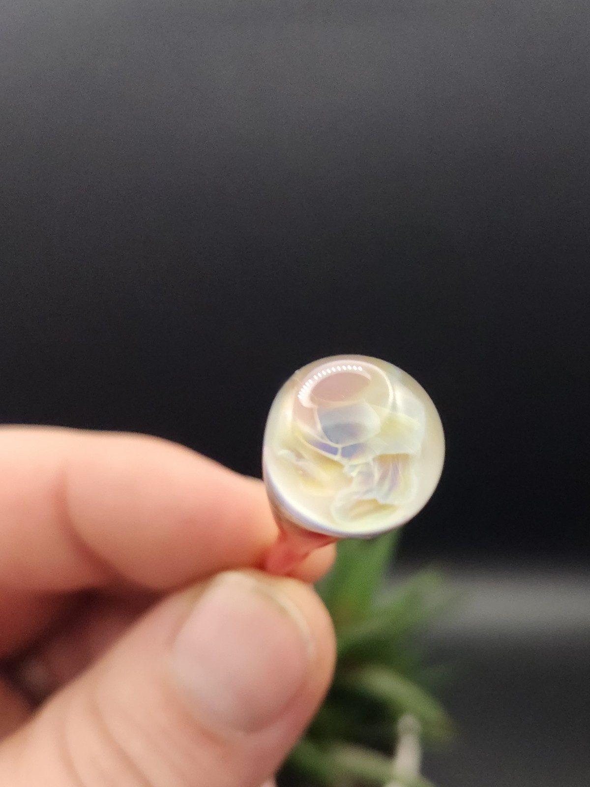 Glass Garden Stake for Plants and Flowers