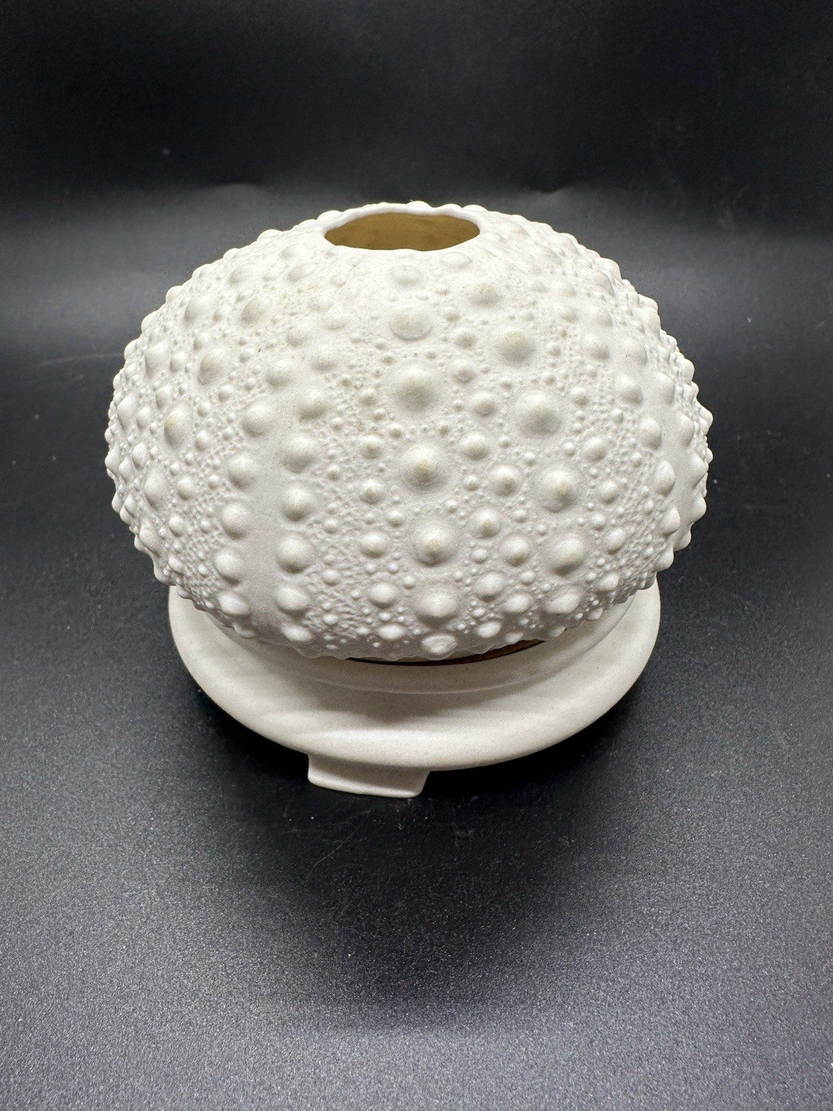 2000 Margaret Furlong  Porcelain Sea Urchin Votive Candle Ho