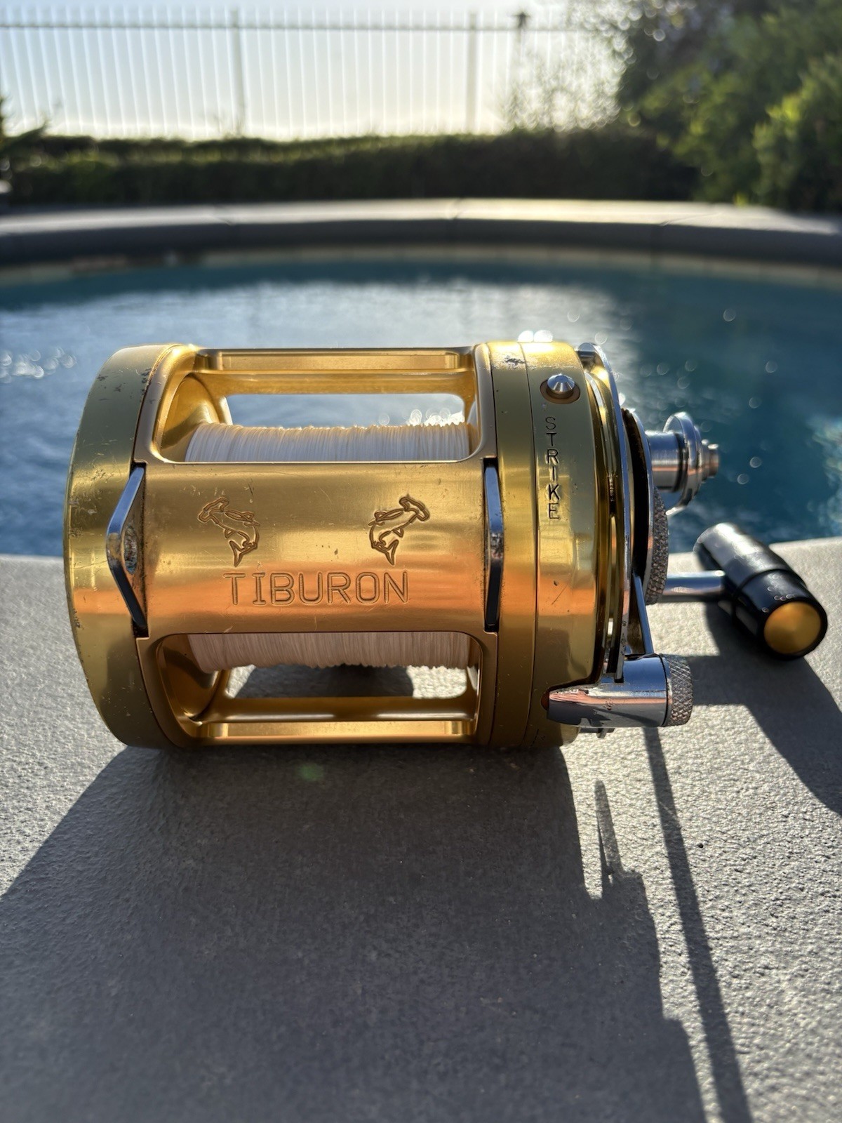 Penn International 50w with Tiburon Frame - 2 Speed